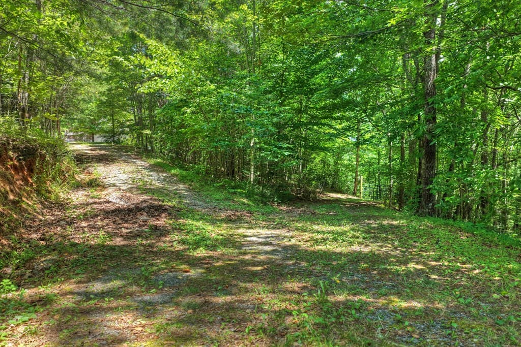 26.29 AC Bullen Gap Road, Blue Ridge GA 30513 - Photo