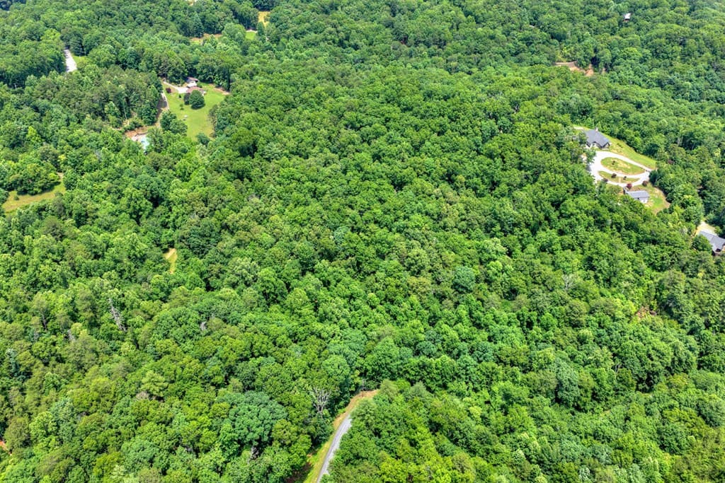 26.29 AC Bullen Gap Road, Blue Ridge GA 30513 - Photo
