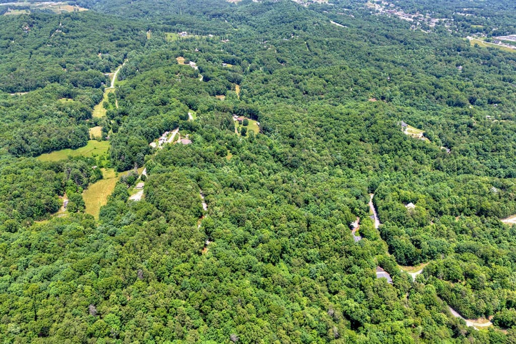 26.29 AC Bullen Gap Road, Blue Ridge GA 30513 - Photo