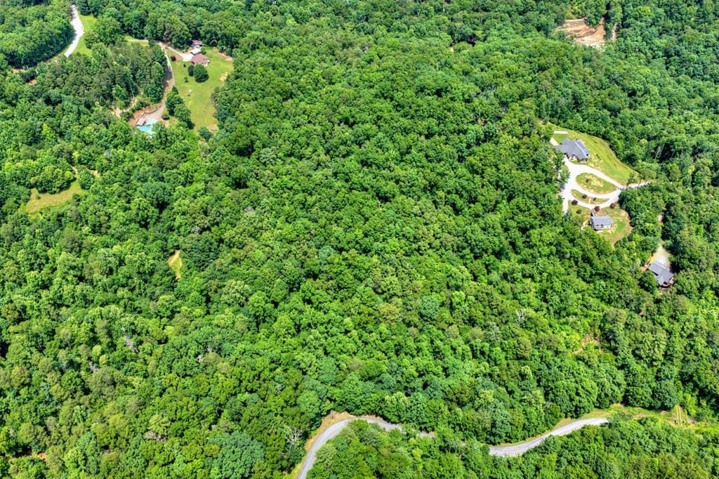 26.29 AC Bullen Gap Road, Blue Ridge GA 30513 - Photo