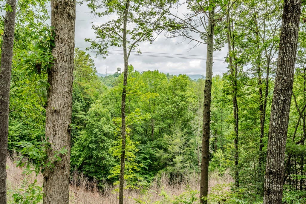 1095 Lonesome Pine Road, Murphy NC 28906 - Photo