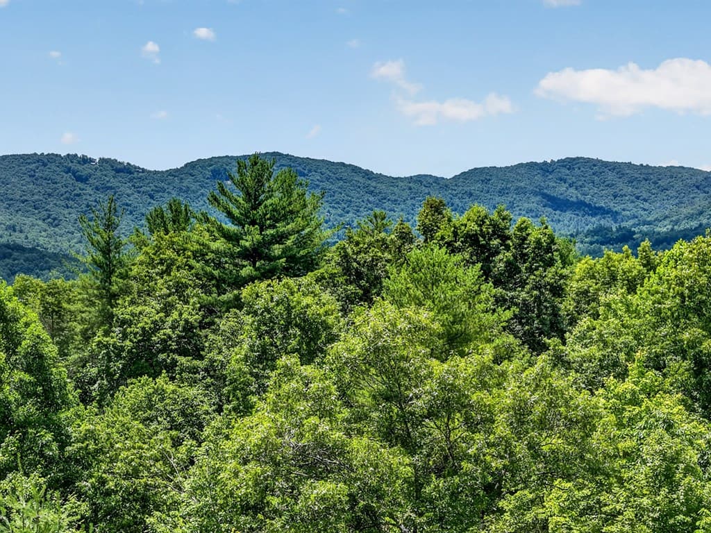 81 Sundance Ridge, Blue Ridge GA 30513 - Photo