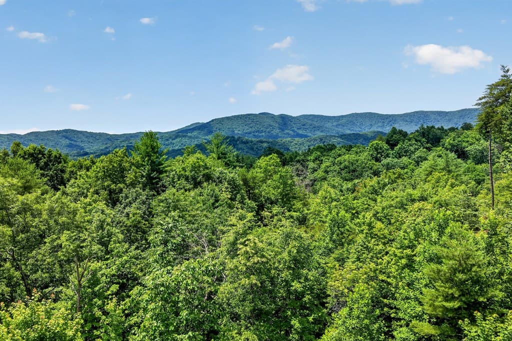81 Sundance Ridge, Blue Ridge GA 30513 - Photo