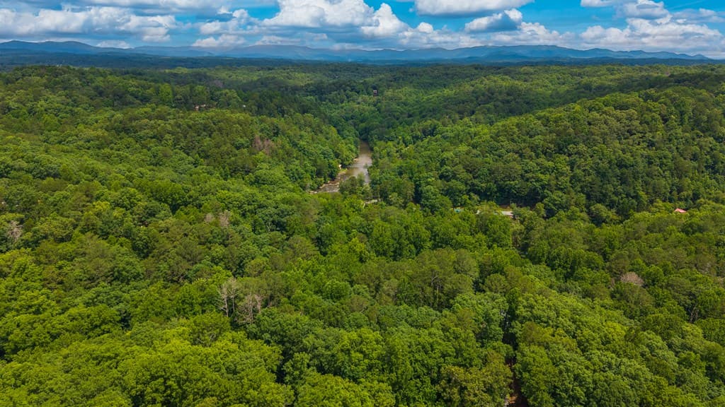 62 Spalding Court, Ellijay GA 30540 - Photo