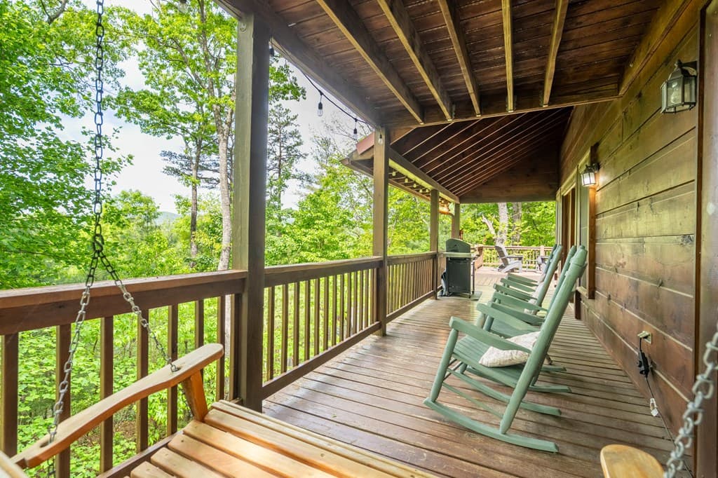 305 Martin Crossing, Cherry Log GA 30522 - Photo