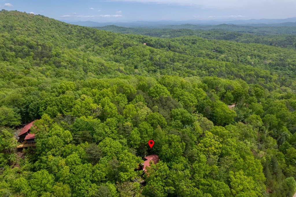 305 Martin Crossing, Cherry Log GA 30522 - Photo