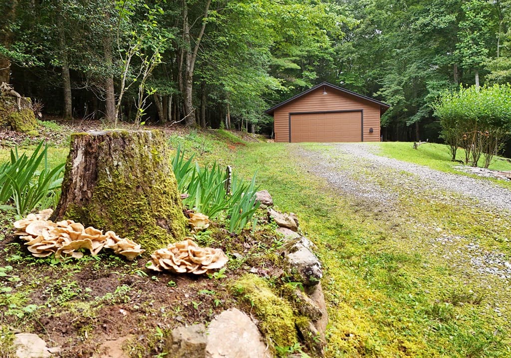 55 Notla Mountain Retreat, Blairsville GA 30512 - Photo