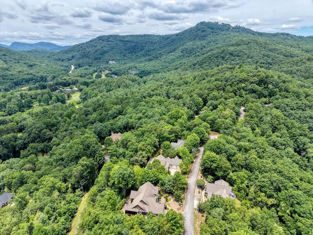 48 Pine Top Drive, Clayton GA 30525 - Photo