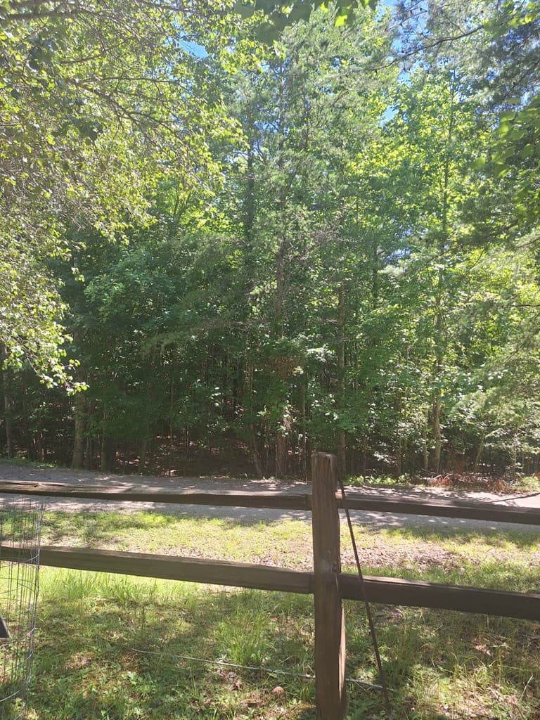 0 Judah Road, Morganton GA 30560 - Photo