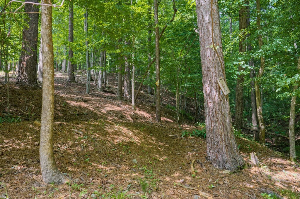 109 Edgewater Drive, Ellijay GA 30540 - Photo