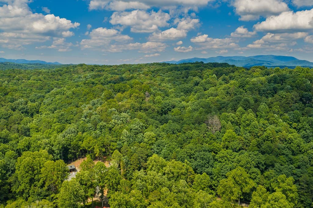 109 Edgewater Drive, Ellijay GA 30540 - Photo