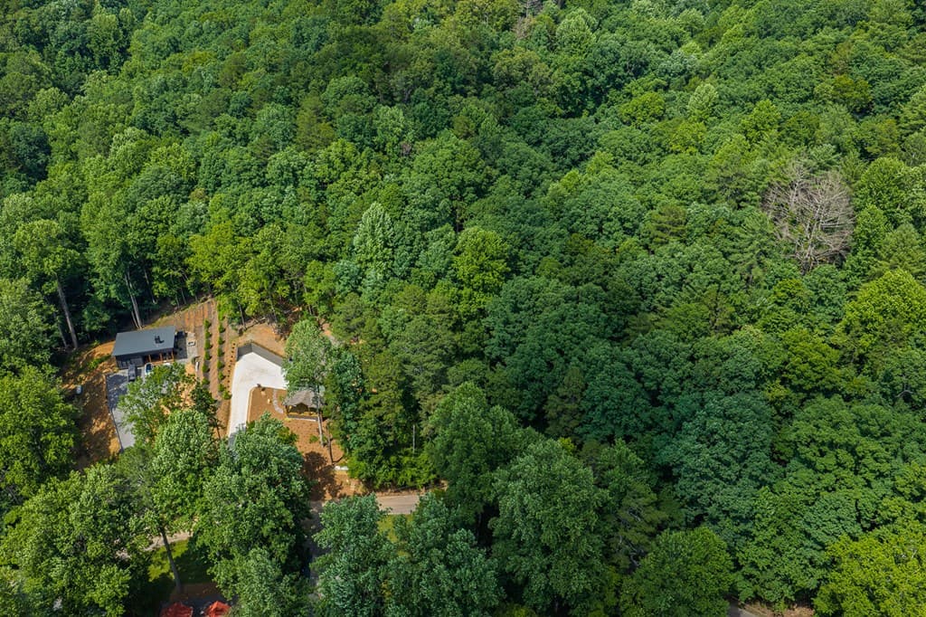 109 Edgewater Drive, Ellijay GA 30540 - Photo