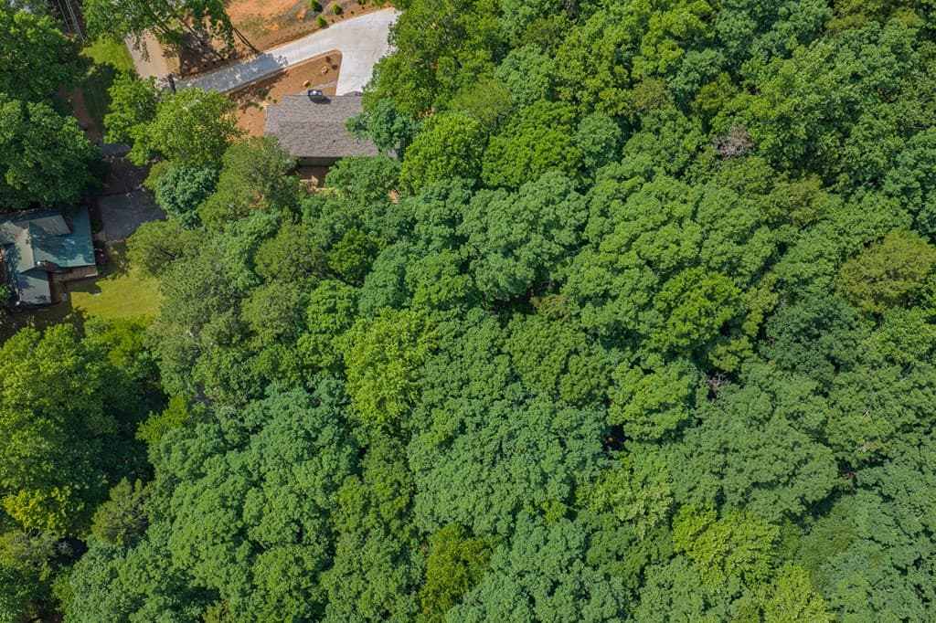 109 Edgewater Drive, Ellijay GA 30540 - Photo