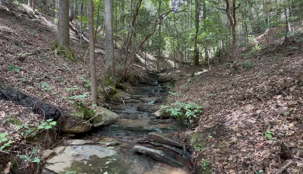 109 Edgewater Drive, Ellijay GA 30540 - Photo