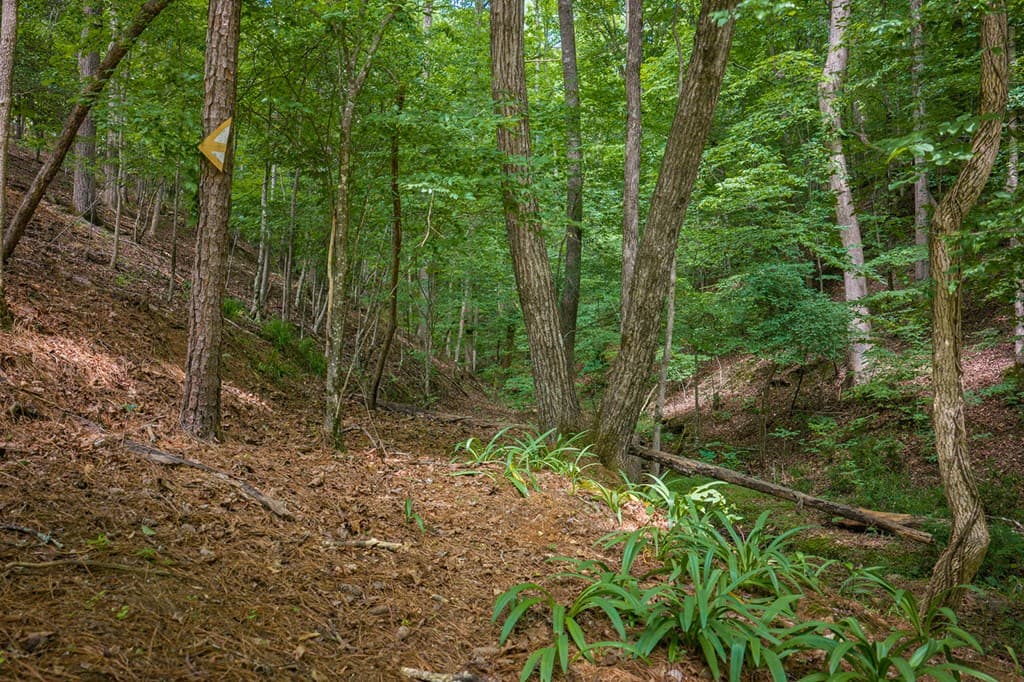 109 Edgewater Drive, Ellijay GA 30540 - Photo