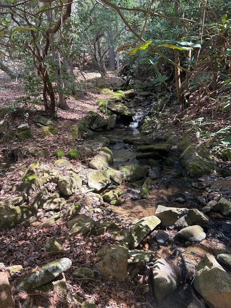 5 acres Liberty Hill Road, Morganton GA 30560 - Photo