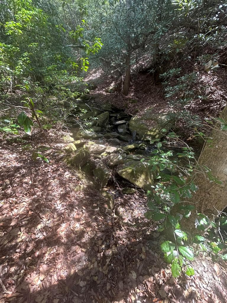 5 acres Liberty Hill Road, Morganton GA 30560 - Photo
