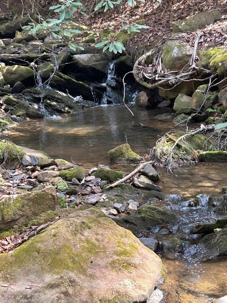5 acres Liberty Hill Road, Morganton GA 30560 - Photo