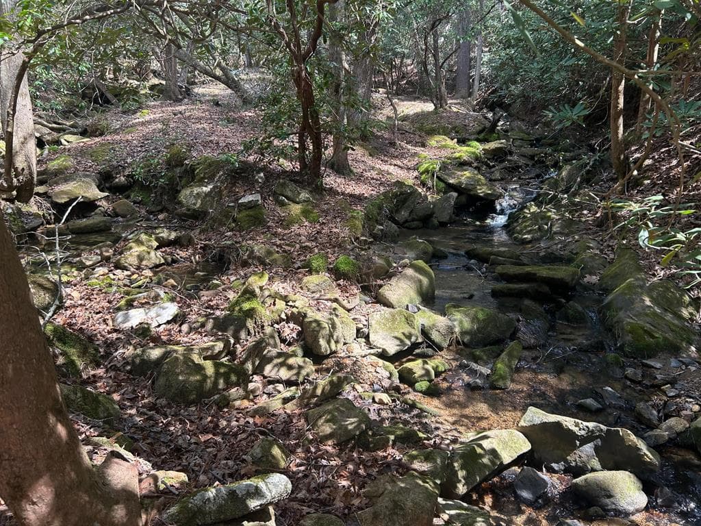 5 acres Liberty Hill Road, Morganton GA 30560 - Photo
