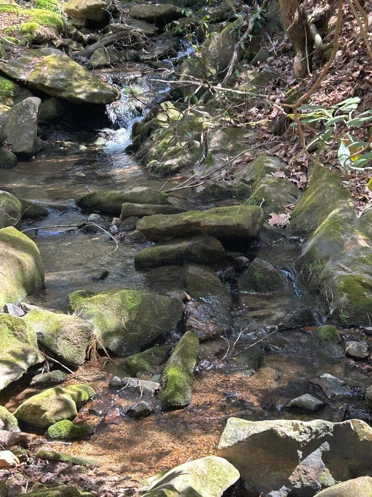 5 acres Liberty Hill Road, Morganton GA 30560 - Photo