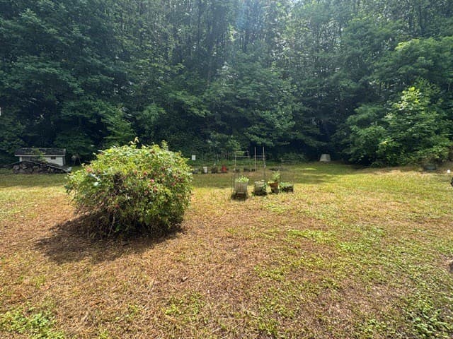 1203 Hwy 60, Suches GA 30572 - Photo