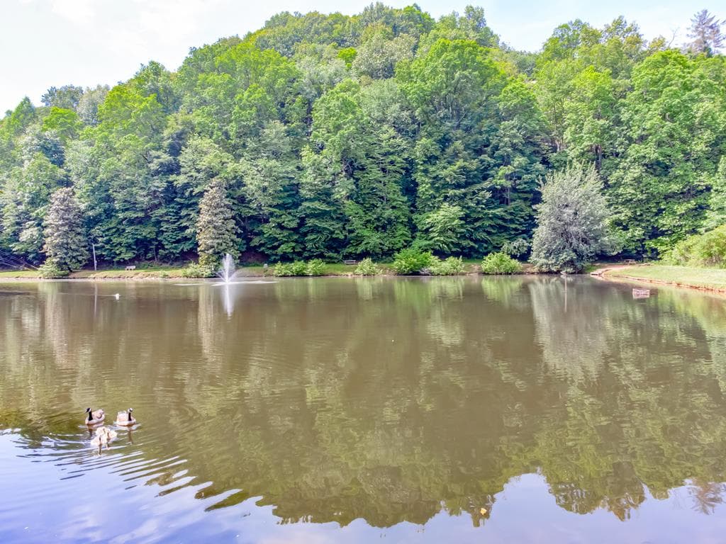 L2696 Palisade Drive, Ellijay GA 30540 - Photo