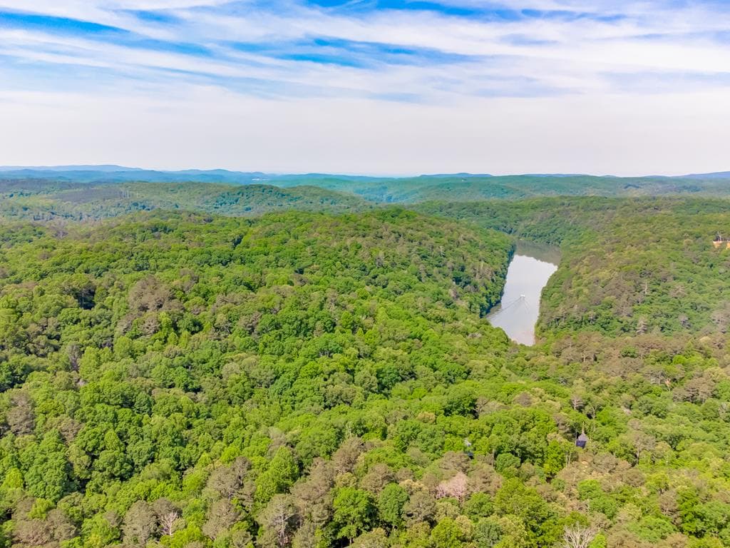 L2696 Palisade Drive, Ellijay GA 30540 - Photo