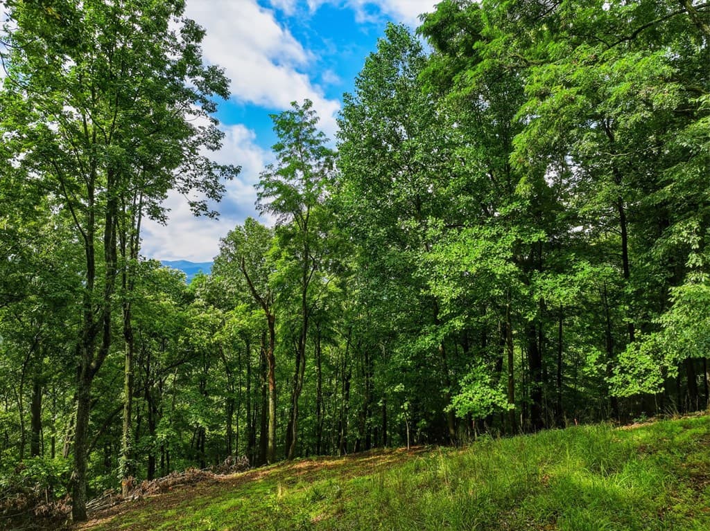 1220 Walnut Ridge, Ellijay GA 30536 - Photo