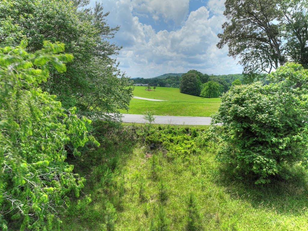 LOT 132 Fox Cove Road, Blairsville GA 30512 - Photo
