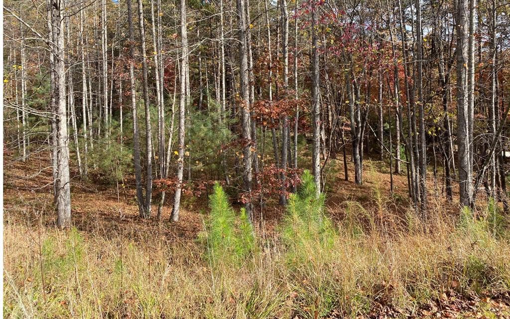 LOT 132 Fox Cove Road, Blairsville GA 30512 - Photo