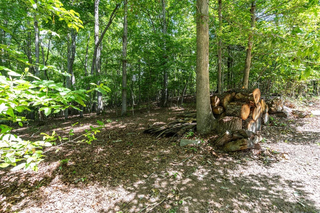 44 Red Wolf Trail, Blairsville GA 30512 - Photo