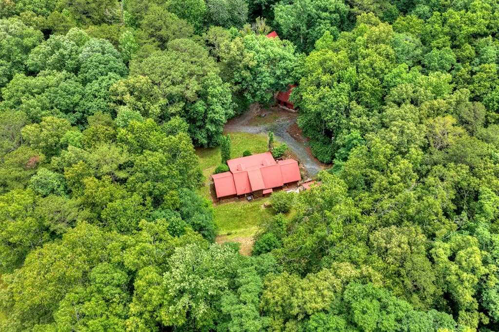 98 Bear Lane, Blue Ridge GA 30513 - Photo