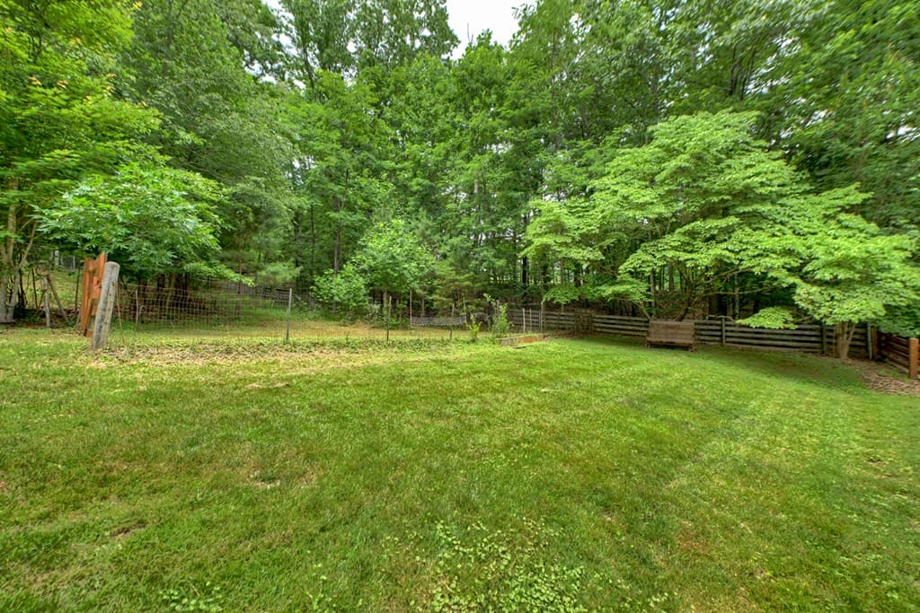 98 Bear Lane, Blue Ridge GA 30513 - Photo