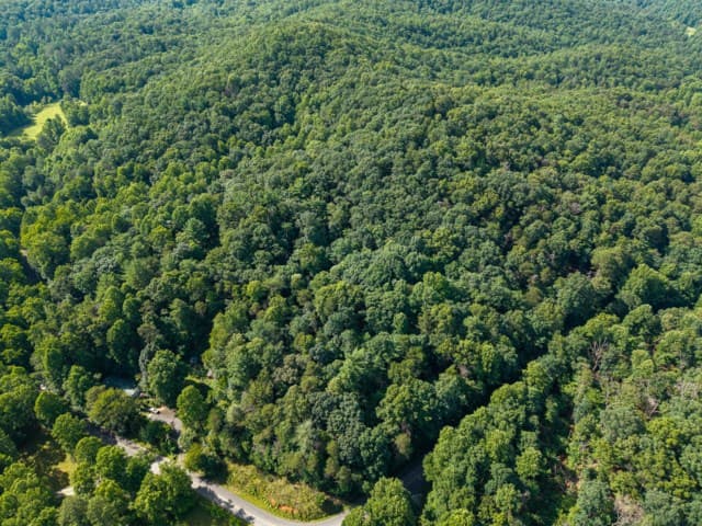5198 Flat Branch Road, Ellijay GA 30540 - Photo