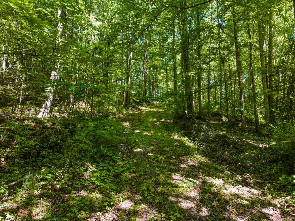 51 Haddock Drive, Blue Ridge GA 30513 - Photo