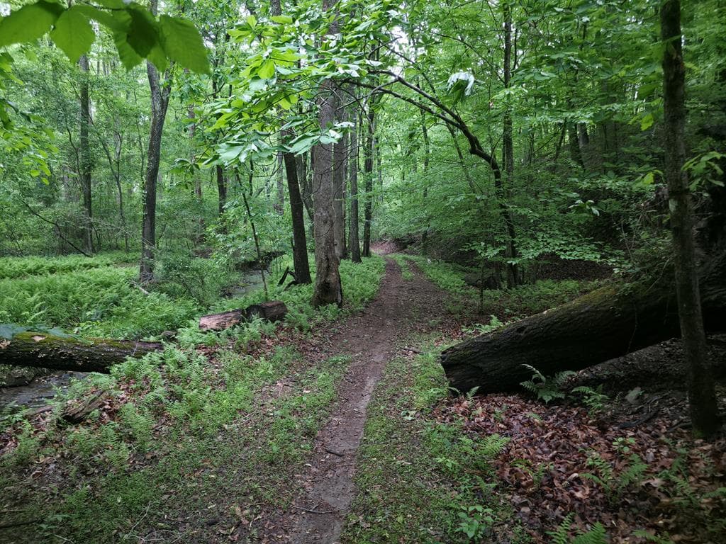 341 Blackberry Trail, Ball Ground GA 30107 - Photo