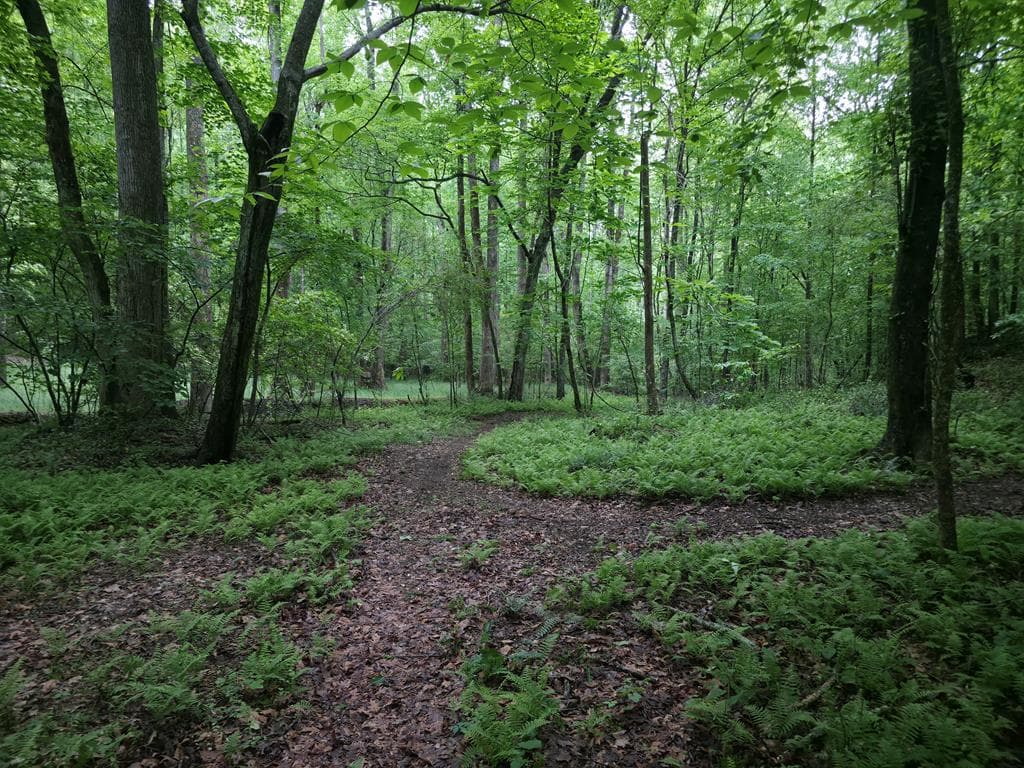 341 Blackberry Trail, Ball Ground GA 30107 - Photo