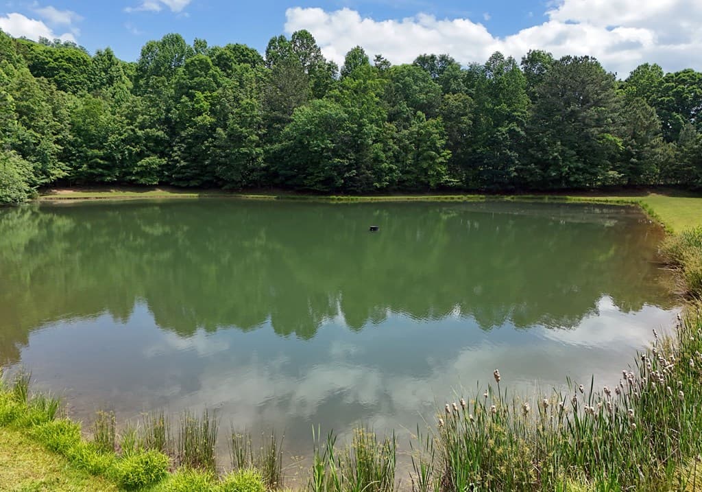 237 Terrace Lane, Blairsville GA 30512 - Photo