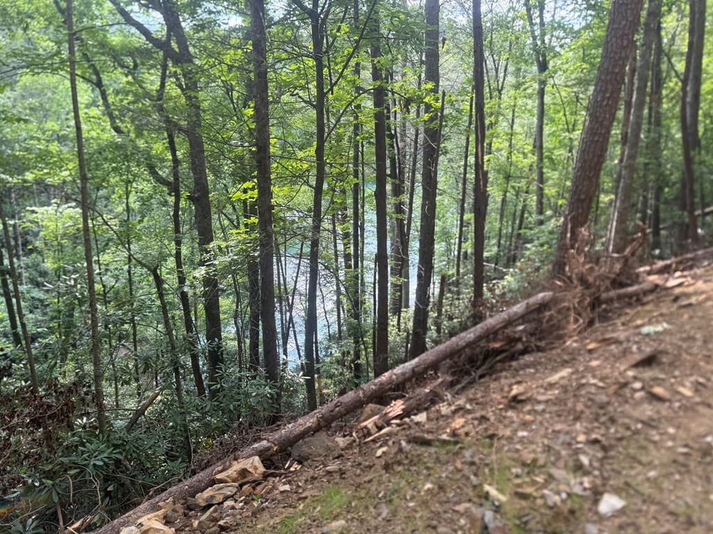 00 Berry Patch Road, Murphy NC 28906 - Photo