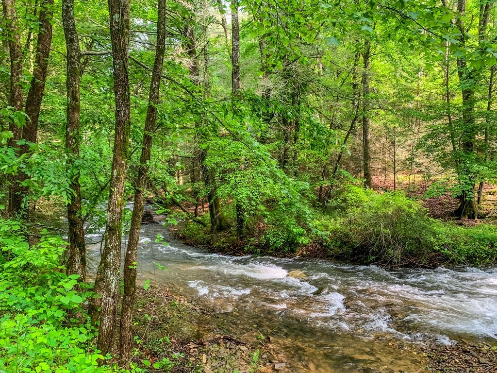 161 Walnut Ridge, Ellijay GA 30536 - Photo
