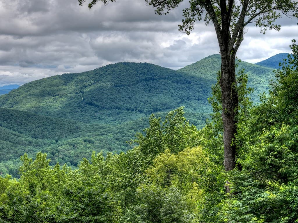 161 Walnut Ridge, Ellijay GA 30536 - Photo