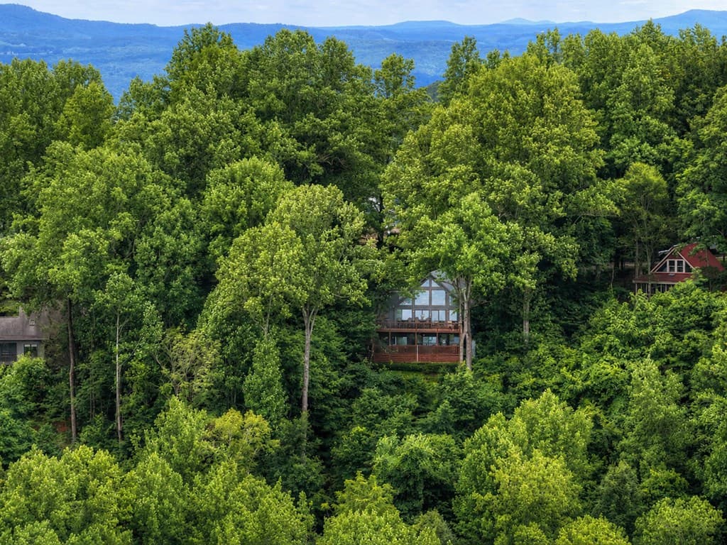 161 Walnut Ridge, Ellijay GA 30536 - Photo