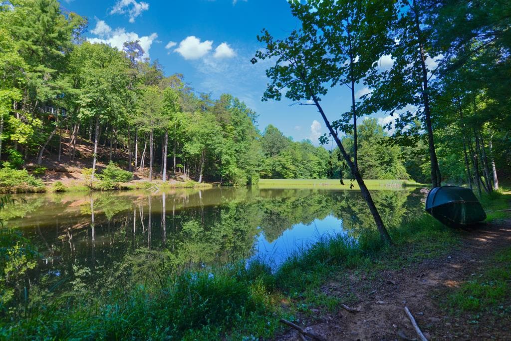 161 Walnut Ridge, Ellijay GA 30536 - Photo