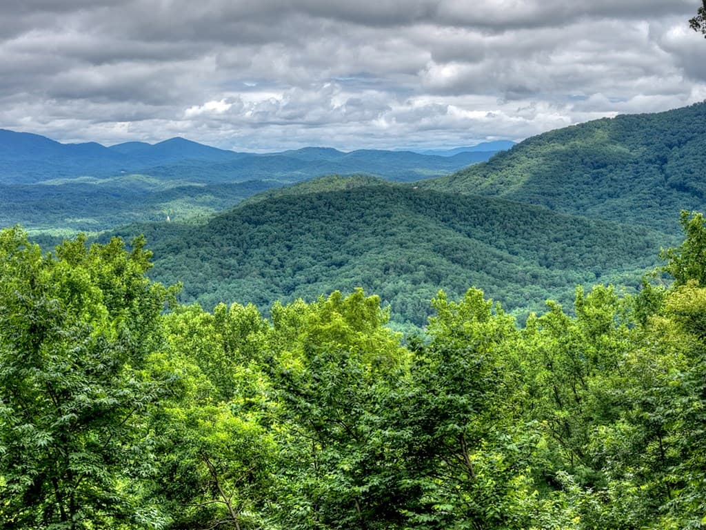 161 Walnut Ridge, Ellijay GA 30536 - Photo