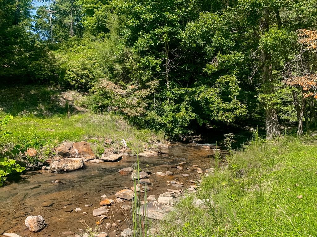 161 Walnut Ridge, Ellijay GA 30536 - Photo