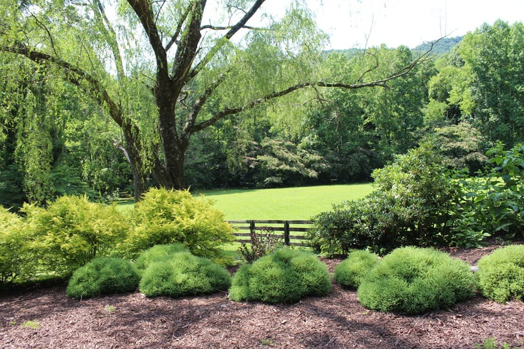 00 Wolf Mountain Road, Murphy NC 28906 - Photo