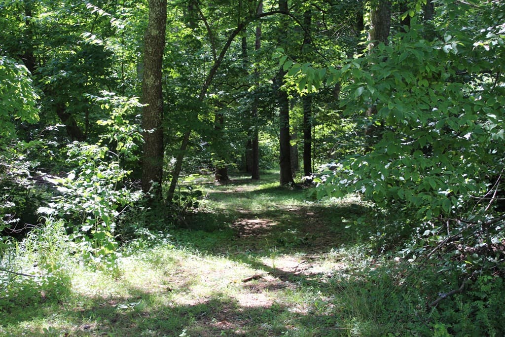 00 Wolf Mountain Road, Murphy NC 28906 - Photo