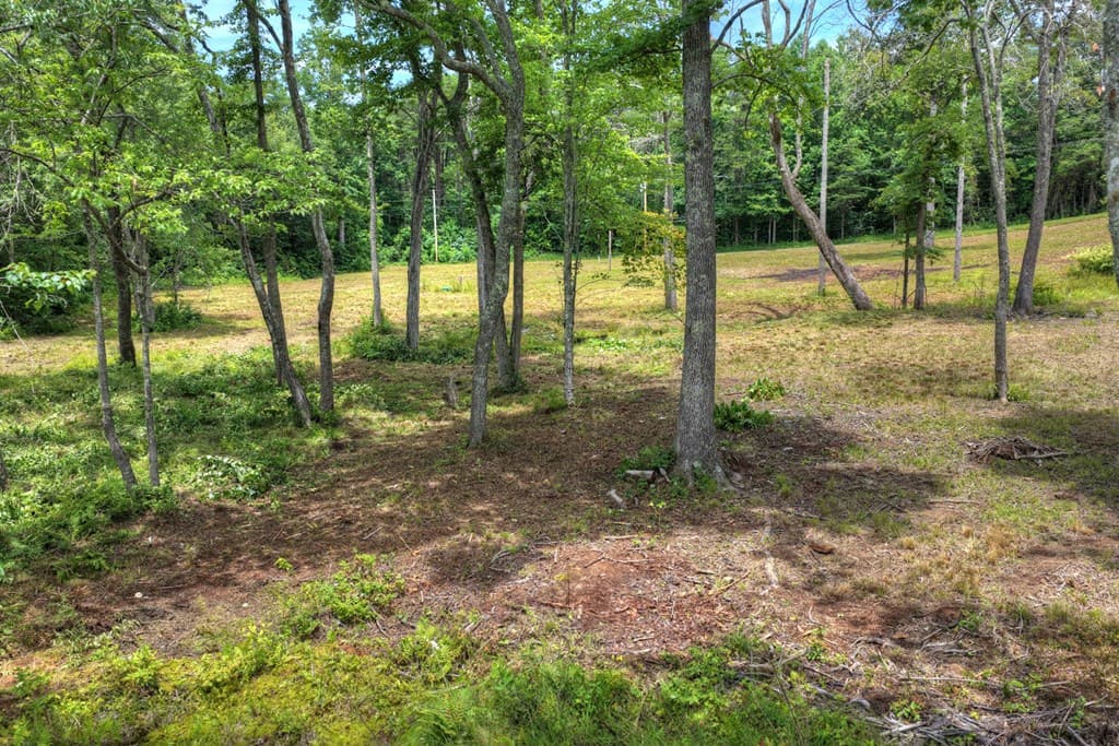 00 Campbell Cove Road, Turtletown TN 37391 - Photo
