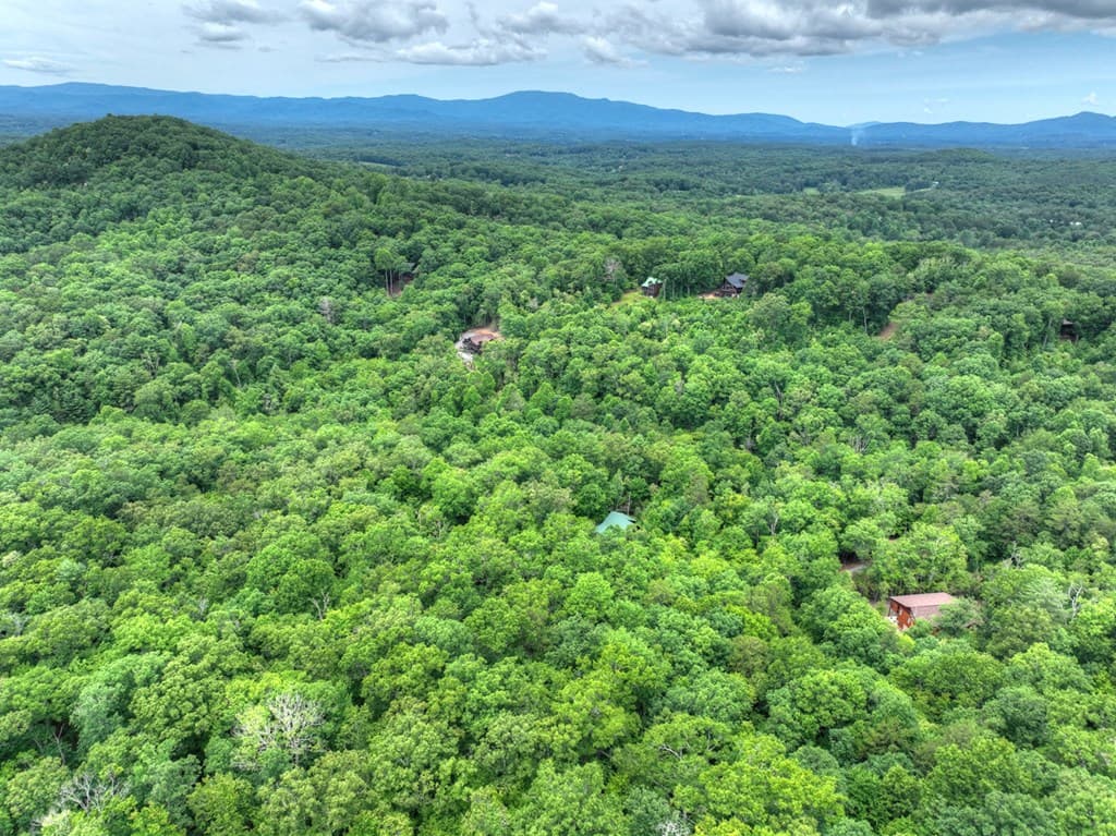 295 Ross Drive, Mineral Bluff GA 30559 - Photo