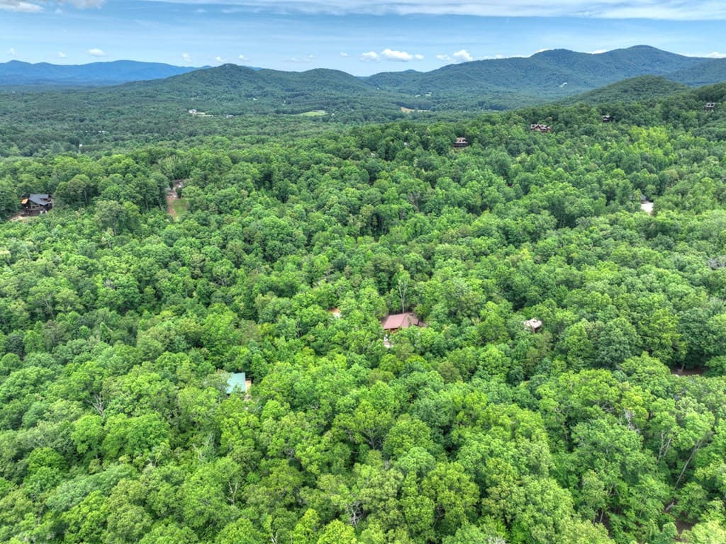 295 Ross Drive, Mineral Bluff GA 30559 - Photo